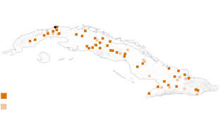 Trend Google: cuba