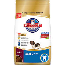 Pin On February National Pet Dental Health Month