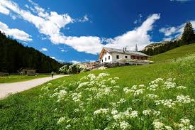 Affittiamo miniappartamento a due passi dal centro e comodo a tutti i servizi, posto a piano terra e composto da ingresso, soggiorno con angolo cottura. Malghe E Chalet In Affitto Per L Estate Mappa Interattiva