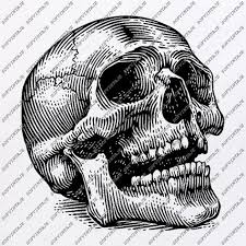 #skulls #черепа #skeleton #скелет #кости #рога #pixel art #pixel. 59 Skulls Ideas In 2021 Skull Art Skull Drawings