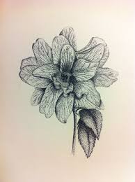 Le principali garanzie che abbiamo voluto esplicitare per la. Disegno Fiore Bianco E Nero Tecnica Puntinismo Disegno Fiori Disegni Bianco E Nero