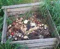 Image result
