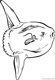 Ocean sunfish coloring page free printable pages template. Sunfish Coloring Pages Coloringall