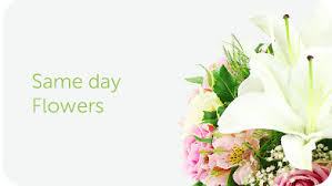 Flowers on broad street is the florist that works with the venue i got married at, highgrove estate. Flowers Delivery