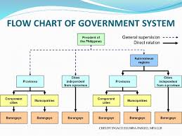 Summary Report On Local Government Unit Lgu