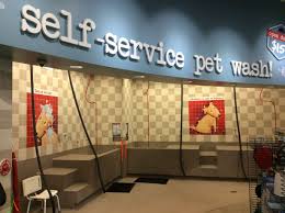 The numbers of pet owners keep going higher and higher and even as we speak, someone could be adopting a pet right now. Pet Food Express Oxnard Ca Pet Supplies