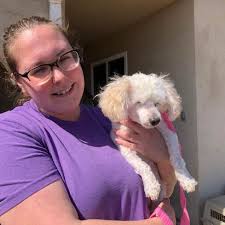 Frosted Faces Foundation