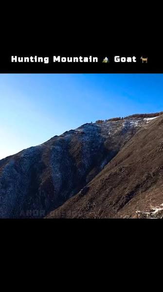 One Of The Longest Hunting Shot In History , Mountain Goat 🐐 Hunting , #MountainGoatHunting #goathunting #riflehunting #hunting #huntingvideo