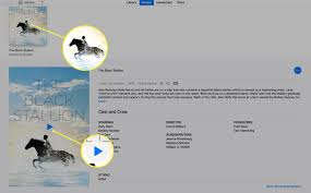 15/05/2018 · how to download a rented movie from itunes? How To Download Movies From The Itunes Store