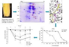 Lactoză monohidrat, celuloză microcristalină, amidonglicolat de sodiu, dibehenat de glicerol, talc captopril se administrează oral cu o oră înainte de mese. Molecules Free Full Text Antihypertensive Effects Of Corn Silk Extract And Its Novel Bioactive Constituent In Spontaneously Hypertensive Rats The Involvement Of Angiotensin Converting Enzyme Inhibition Html