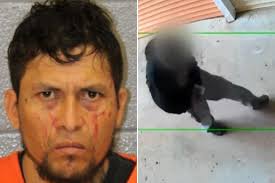 Neighbor arrested after woman found mutilated