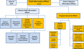 organization of office of mhs cio download scientific diagram