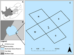 Image result for Selago dinteri