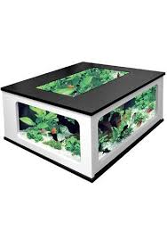 I Want This Fish Tank Table So Much Is It Tacky Or Amazing Or Both Fish Tank Coffee Table Fish Tank Table Aquarium Coffee Table