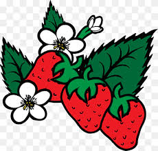 Gambar mewarnai, aneka gambar mewarnai. Virginia Strawberry Shortcake Coloring Book Fruit Cartoon Strawberries Food Leaf Heart Png Pngwing