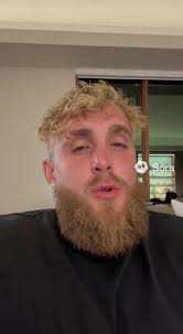 Jake Paul Labubu Greek