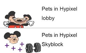 We did not find results for: Pets Hypixelskyblock