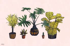 Plant Aesthetic Laptop Wallpapers Top Free Plant Aesthetic Laptop Backgrounds Wallpaperaccess Enjoy and share your favorite beautiful hd wallpapers and background images. plant aesthetic laptop wallpapers top