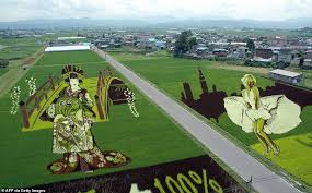 Teramat Kreatif Petani Jepun Mencipta Lukisan 3d Pelbagai Imej Dengan Pokok Padi Di Bendang Orangmuo My
