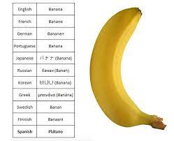 47 Hilarious Reasons Why The Spanish Language Is The Worst Spanish Spanish Language How To Speak Spanish