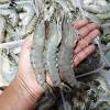 Berbincang secara santai dan aman paling kurang sehari sebelum memancing tentang peralatan. Https Encrypted Tbn0 Gstatic Com Images Q Tbn And9gctuqefkknn7 4k75kpb W 2sgrn Fq20bcpcqslj1rd2lkxtj6f Usqp Cau