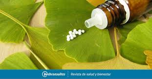 Efficacy and safety of ginkgo biloba in patients with acute ischemic stroke: Tanakan Forte Contraindicaciones
