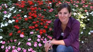 Sow seeds shallowly lightly covered with fine seed starting soil. Growing Impatiens Youtube