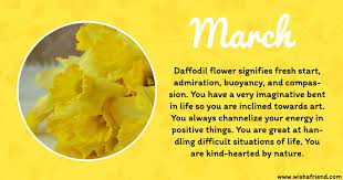 March Birth Flower Daffodil Birth Flowers Birth Month Flowers March Birth Flowers