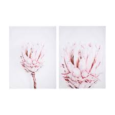 15 Protea Print 2 Pack Kmart Protea Bedroom Decor Kmart