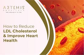 Image result for LDL Cholesterol