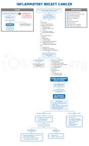 Image result for Inflammatory breast cancer