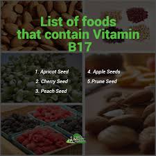 Dietary reference intakes for thiamin, riboflavin, niacin, vitamin b6, folate, vitamin b12, pantothenic acid, biotin, and choline. Nature S Choice Supplements List Of Foods That Contain Vitamin B17
