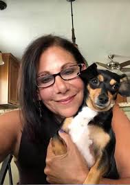 Chiweenie pets and their owners' experiences