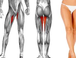 Trainiert man die adduktoren nur auf anspannung, werden sie auf dauer hart und verkürzt. 6 Beste Ubungen Fur Schlanke Straffe Und Geformte Oberschenkelinnenseiten Durchs Leben