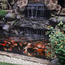 Selain sebagai hiasan air terjun juga berfungsi sebagai sirkulasi air kolam agar tetap bersih dan sehat untuk ikan. Kolam Relief Untuk Ikan Koi Konstruksi Dan Taman 811979223
