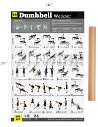 Fitness update and spartacus workout. Best Dumbbell Workouts For Men Page 1 Line 17qq Com