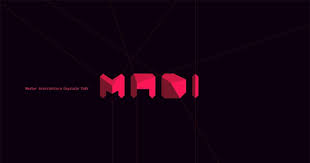 MADI Master in Architettura Digitale IUAV - professione Architetto