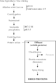 flow chart for protein recovery download scientific diagram