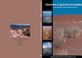 Image result for Tristachya lualabaensis