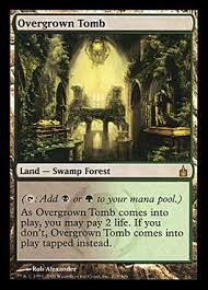 Image result for ravnica lands