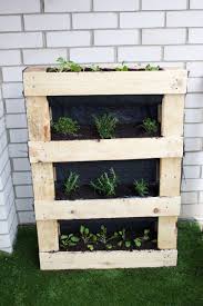 Place the pallet wood planter vertically and water the plants regularly for fast growth. How To Make A Pallet Planter For Your Patio Balcony Or Wall Houzz Uk