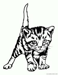 Free printable coloring pages kitty cat and frog in umbrella for kids.free kitten cat coloring pages printable. Kitten Coloring Sheets Animal Coloring Pages Printable 2021 2664 Coloring4free Coloring4free Com