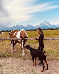 Von Disarrop Koa 4.25.21 💕 Morning time with Von Disaropp Koa 32 weeks  old! Super excited about her breeding later this year with Black Novak Croy  Del Nasi (Ali) Daron Stewart Gerardo