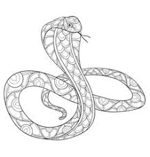 Coloring Page Snake Vector Images Over 180