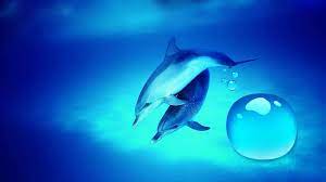 Live Wallpapers For My Laptop Live Wallpaper For Pc Aquarium Live Wallpaper Live Backgrounds