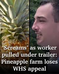 Gympie's Jake Geiger, Alyce Burgess and Courtney McEwan are headed to the  Supreme Court after Christmas: ▶️ https://bit.ly/3VNBIvP