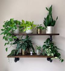 32 Inspiring Wall Plant Decorations For Your Living Room Molitsy Blog In 2020 Plant Wall Decor Indoor Plant Wall Diy Plants Decor