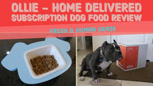 Check spelling or type a new query. Purchase Home Delivery Dog Food Up To 68 Off