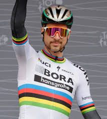 57% souhaitent investir dans les 2 prochaines années. Peter Sagan Wikipedia