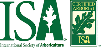 Is in san carlos, california. Tree Service Company Arborists Timberline Tree Service Bel Air Md